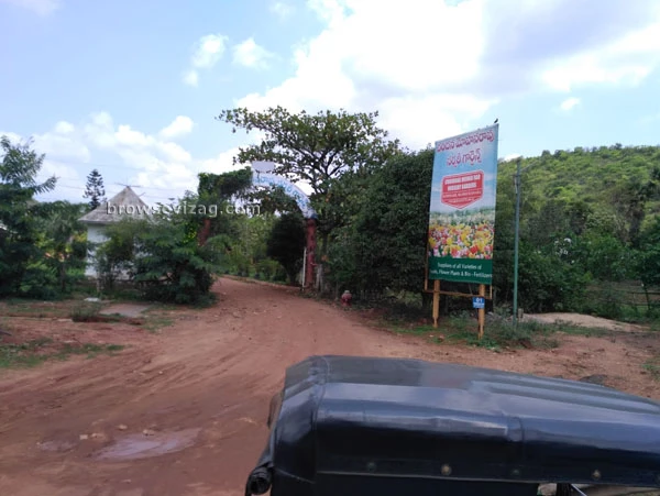 CMR Nursery